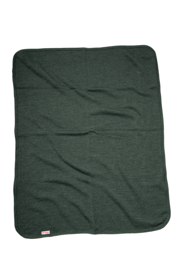 877C2A3C-B7DC-42FA-88DF-099E650F94C3